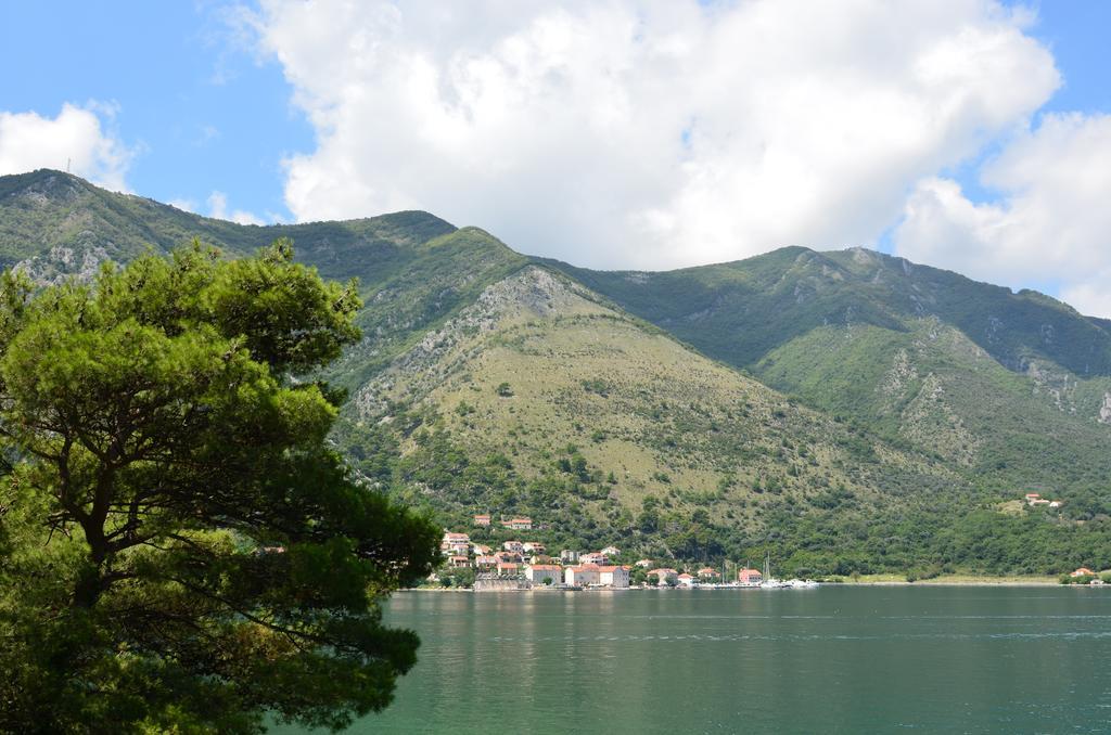 Apartment Ivanisevic 2 Kotor Exterior photo